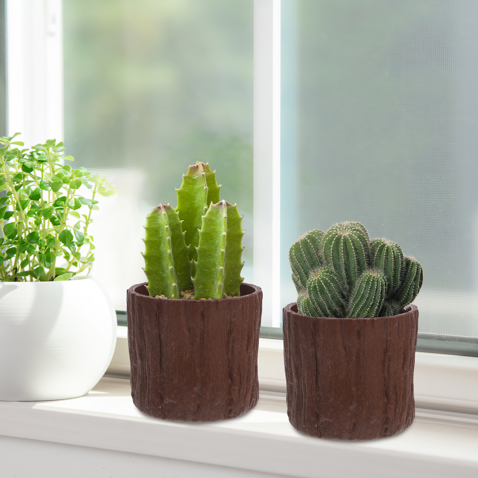 Succulent Arrangement Mini - 4 Pezzi di Vasi per Fiori
