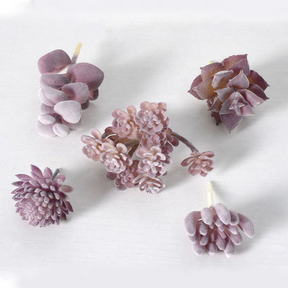 Succulent Arrangement Mini - Vaso per Piante Grasse Rotondo con