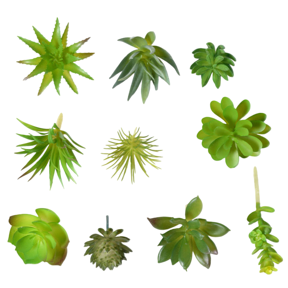 Succulent Arrangement Mini - Accessorio fotografico adatto per composizioni di