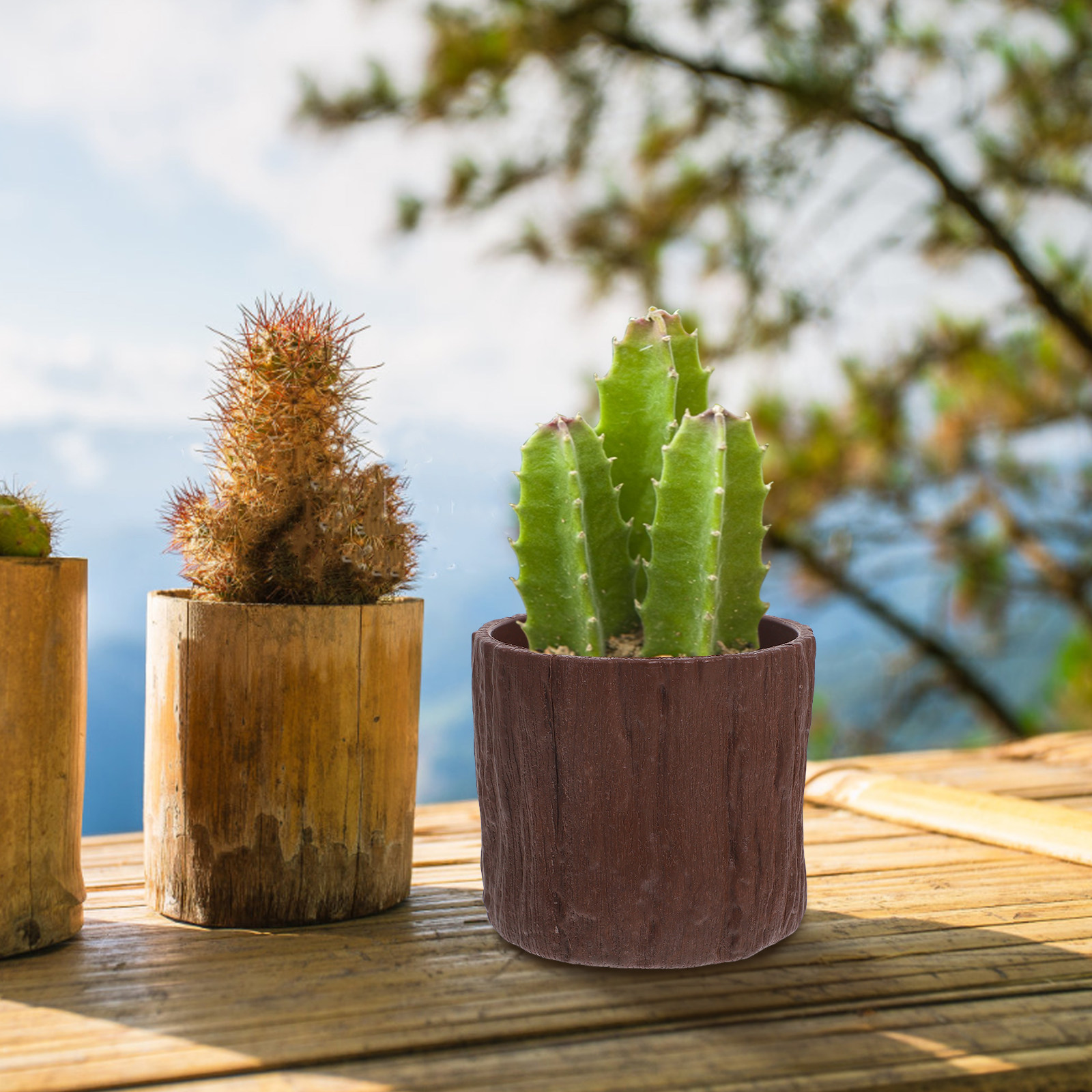 4 Pezzi di Vasi per Fiori in F - Succulent Arrangement Mini recensione e prezzo