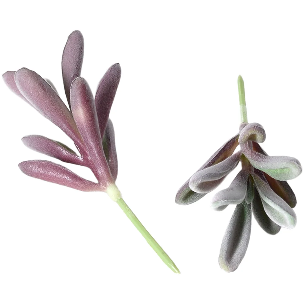 Succulente finte in PVC flocca - Succulent Arrangement Mini recensione e prezzo