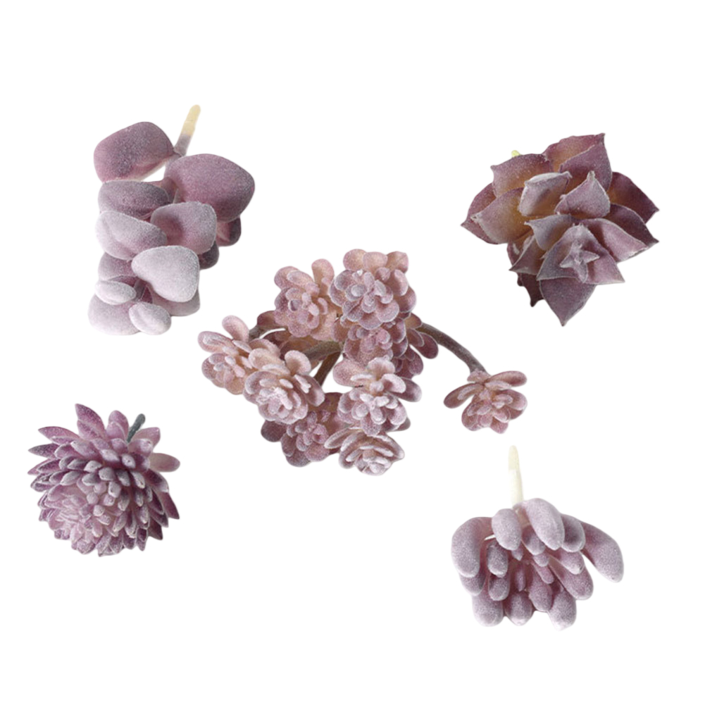 Composizione di Piante Grasse  - Succulent Arrangement Mini recensione e prezzo