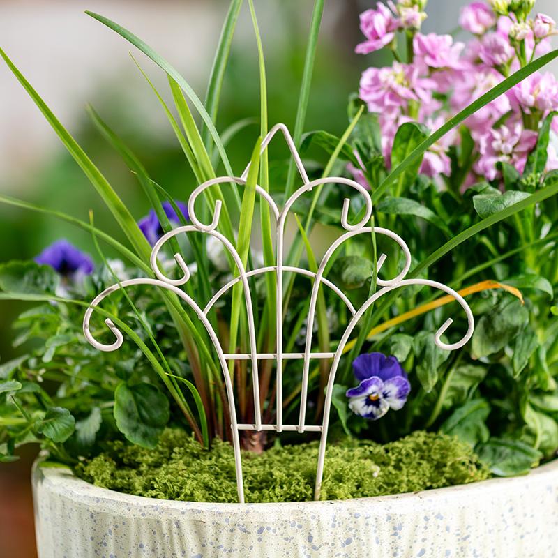 Mini Recinzione in Ferro Decor - Succulent Arrangement Mini recensione e prezzo
