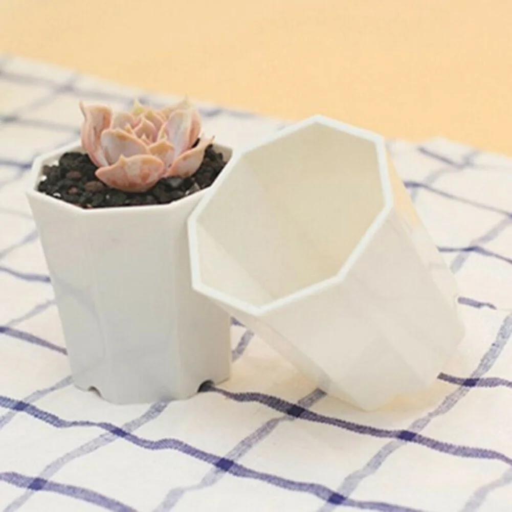 10 vasi in plastica per mini f - Succulent Arrangement Mini recensione e prezzo