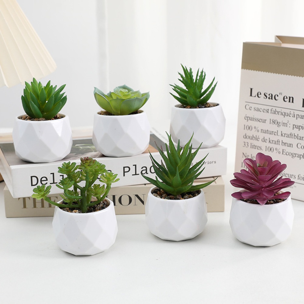 Piante Artificiali Succulente  - Cactus Mix Pot recensione e prezzo