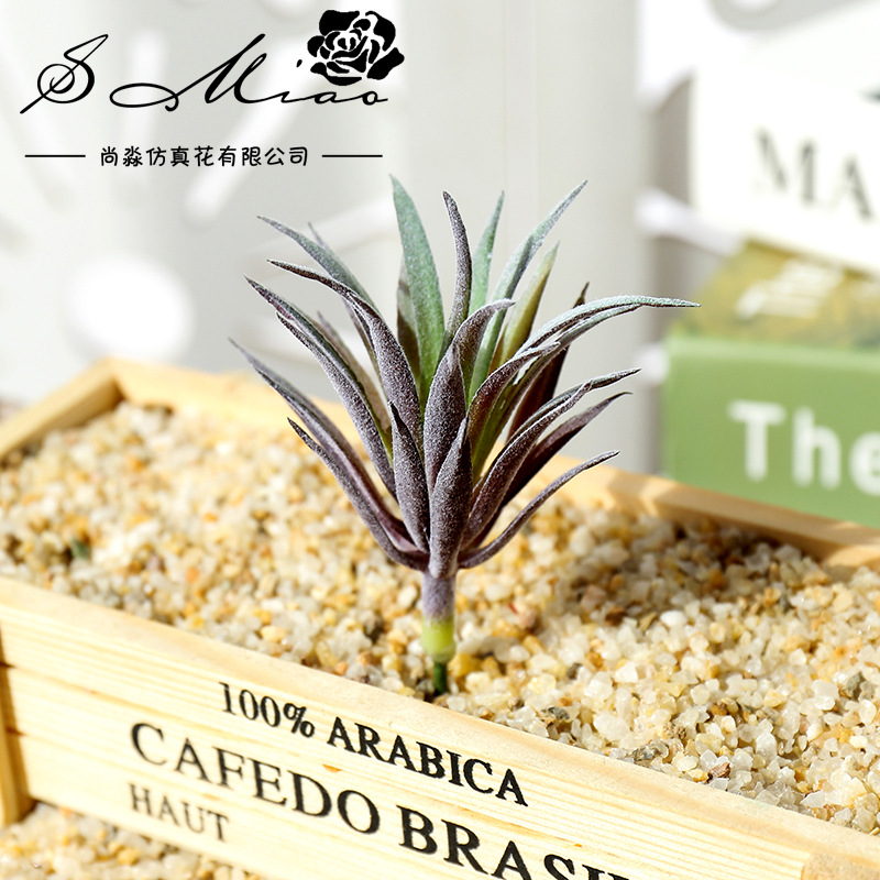 Piante Succulente Artificiali  - Succulent Arrangement Mini recensione e prezzo