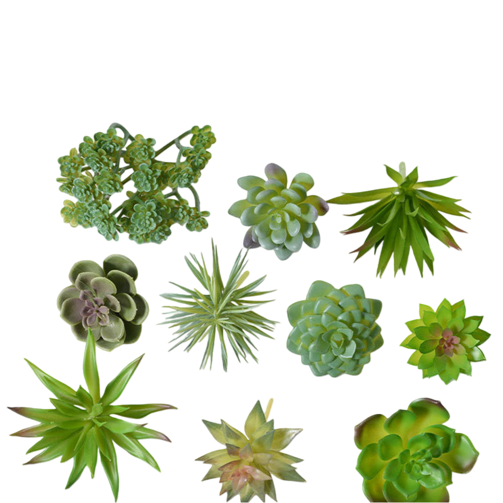 Kit di Decorazione per Interni - Succulent Arrangement Mini recensione e prezzo