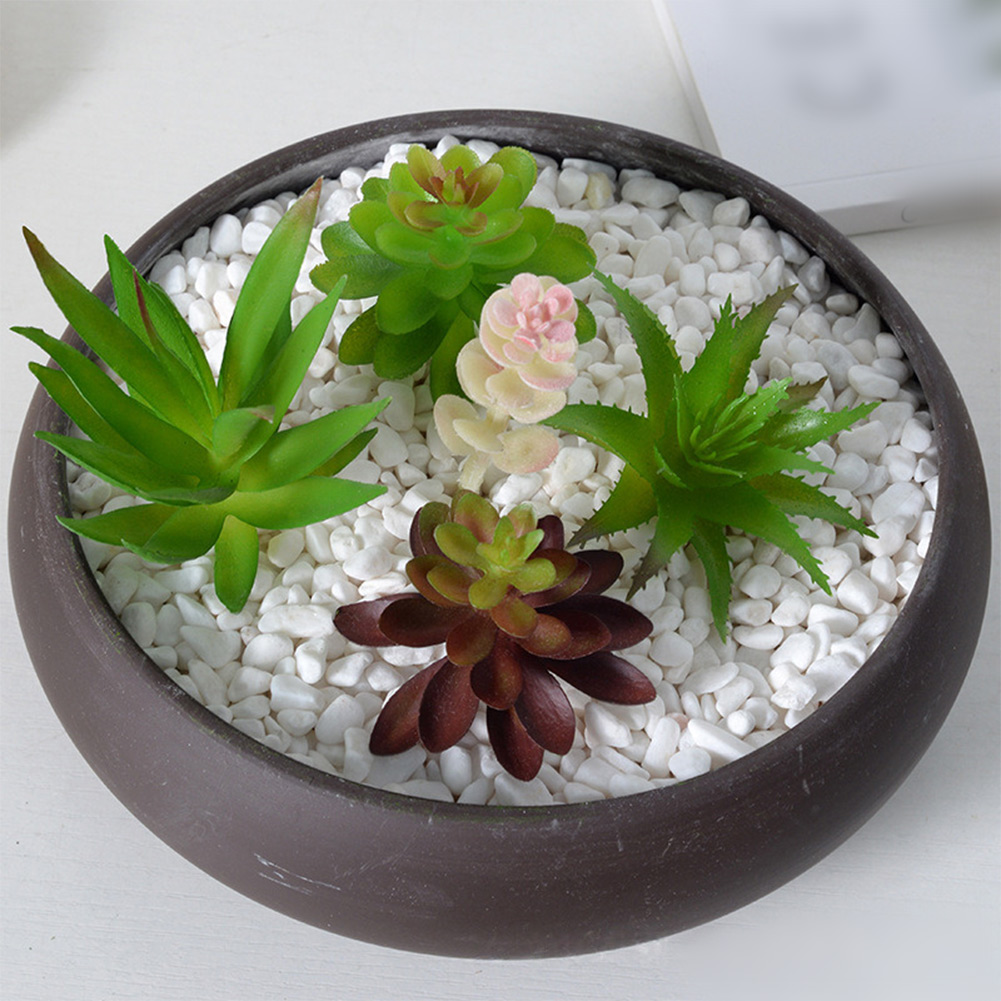 Kit di Decorazione per Interni - Succulent Arrangement Mini recensione e prezzo