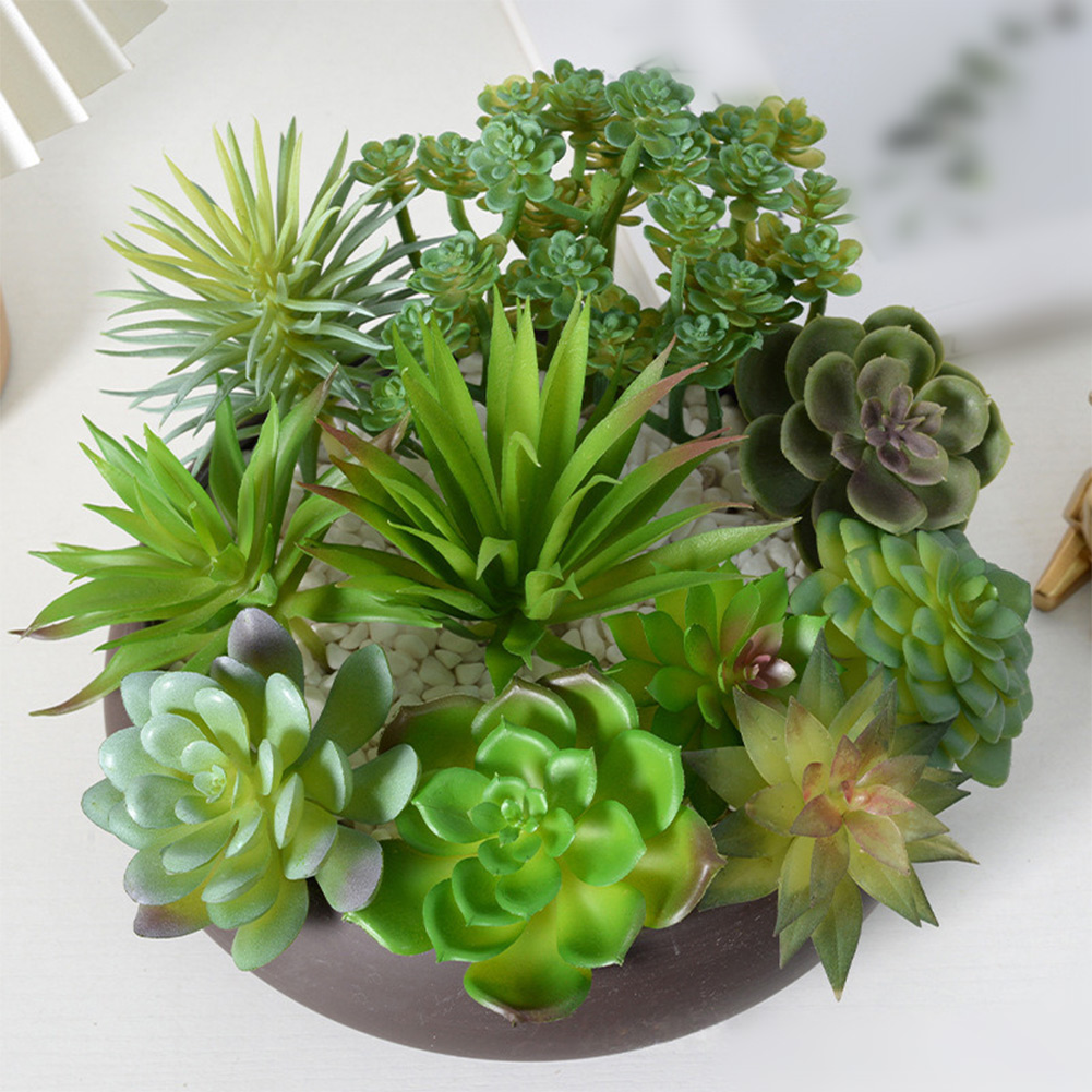 Accessorio fotografico adatto  - Succulent Arrangement Mini recensione e prezzo