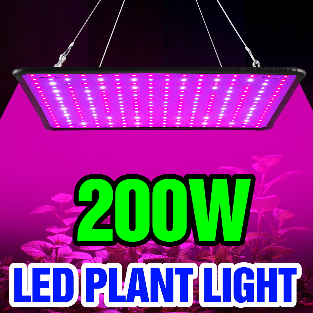 Lampada LED Quantum Board da 2 - Cactus Mix Pot recensione e prezzo