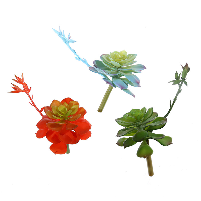 Wusmart Zhong Shi Lian grandi  - Succulent Arrangement Mini recensione e prezzo