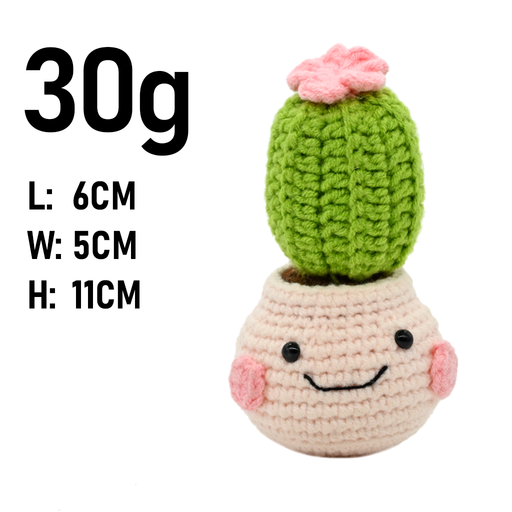 PlantSeries Cactus all'Uncinet - Cactus Mix Pot recensione e prezzo