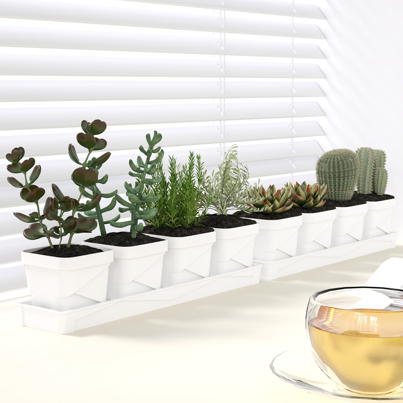 Vaso per Piante Grasse in Stil - Cactus Mix Pot recensione e prezzo
