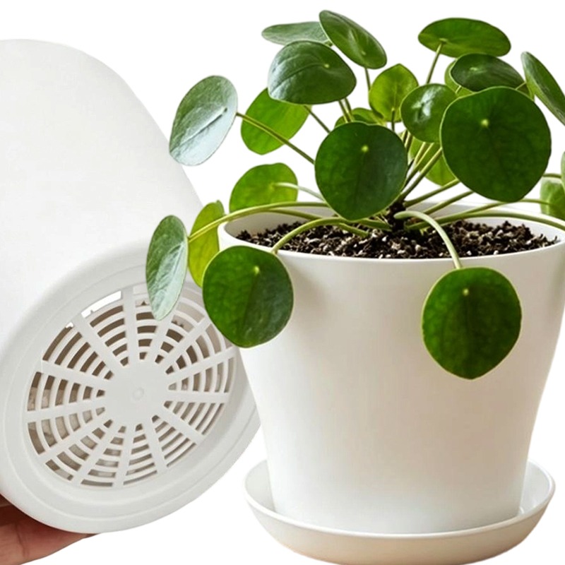 Set di Vasi per Piante con For - Cactus Mix Pot recensione e prezzo