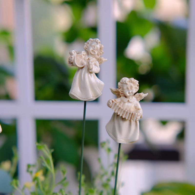 Arachizzatore di fiori d'angel - Succulent Arrangement Mini recensione e prezzo