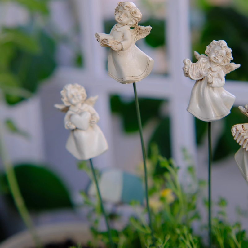 Arachizzatore di fiori d'angel - Succulent Arrangement Mini recensione e prezzo